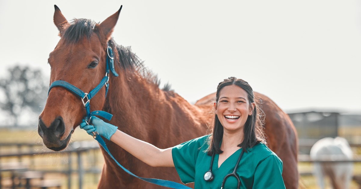 Coopvet nasce para fortalecer o setor veterinário por meio do cooperativismo